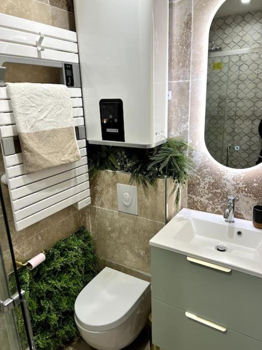 Studio 2 Neuf A 100M Des Plages Et De La Gare Saint-Raphaël المظهر الخارجي الصورة
